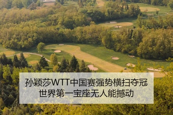 sun-ying-sha-zhong-guo-sai-qiang-shi-heng-sao-duo-guan-shi-jie-di-yi-bao-zuo-wu-ren-neng-han-dong-2-879.jpg